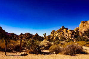 Joshua Tree National Park, California