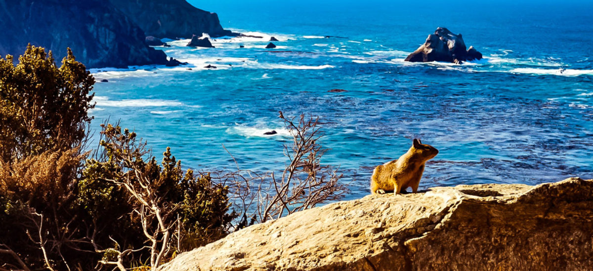 Big Sur, California
