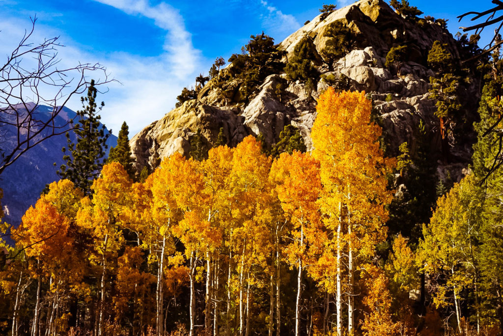Yosemite National Park, California, Mammoth Lakes