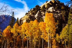 Yosemite National Park, California, Mammoth Lakes