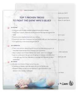 Screenhot Expat Wife's Blues guide