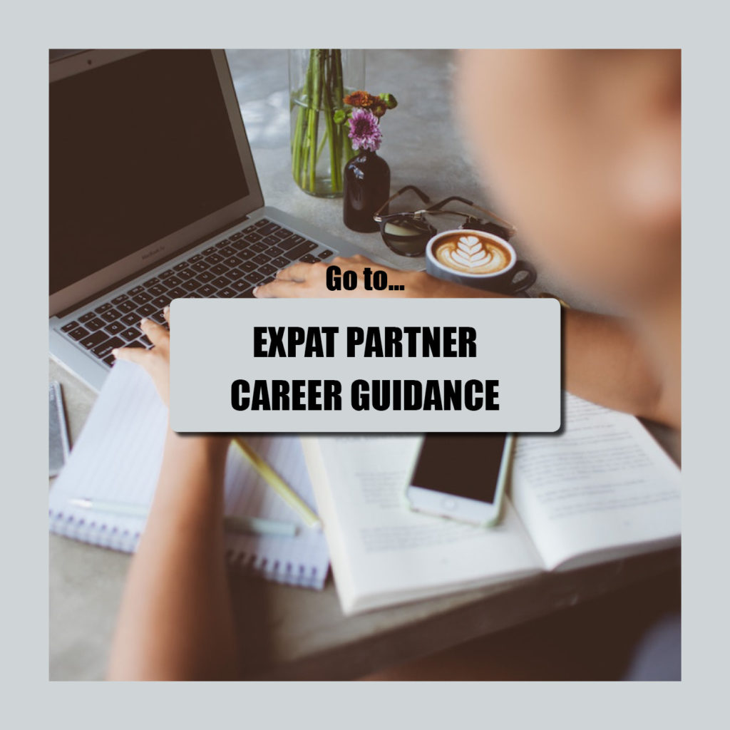 expat partner guidance, career