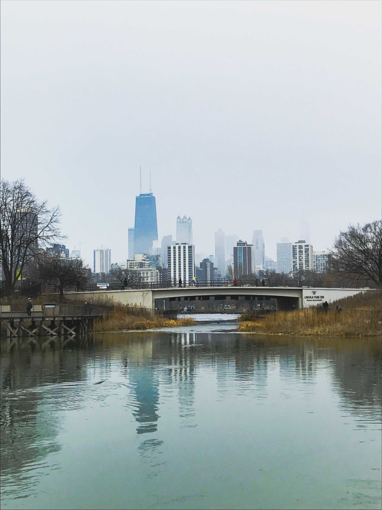 fall in chicago, chicago, city trip, travel, travel guide, autumn