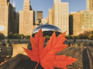 fall in chicago, chicago, city trip, travel, travel guide, autumn