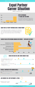 expat, survey, results, employment, career, expat partner