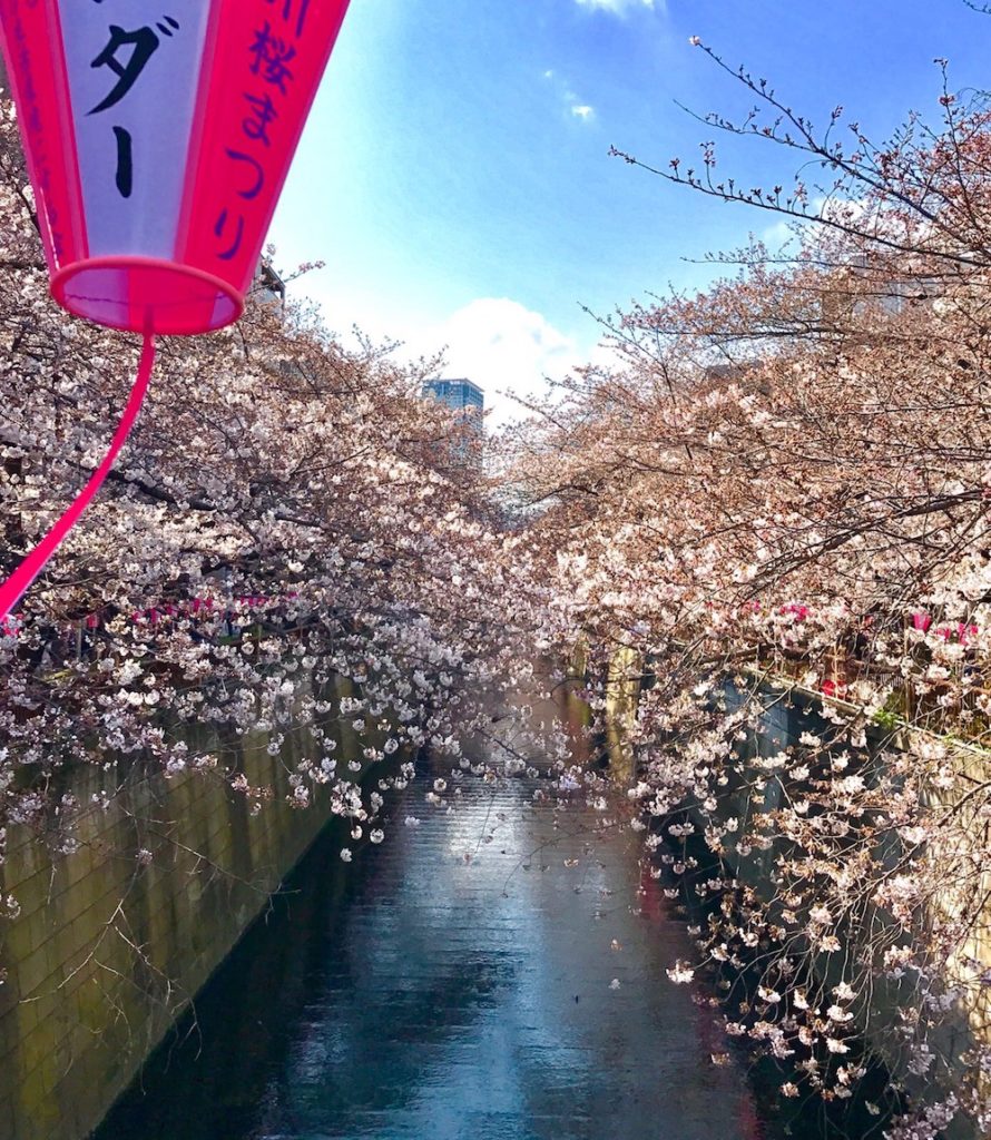Japan, Anrea, role model, expat, story, sharethelove, goethe, goethe institut