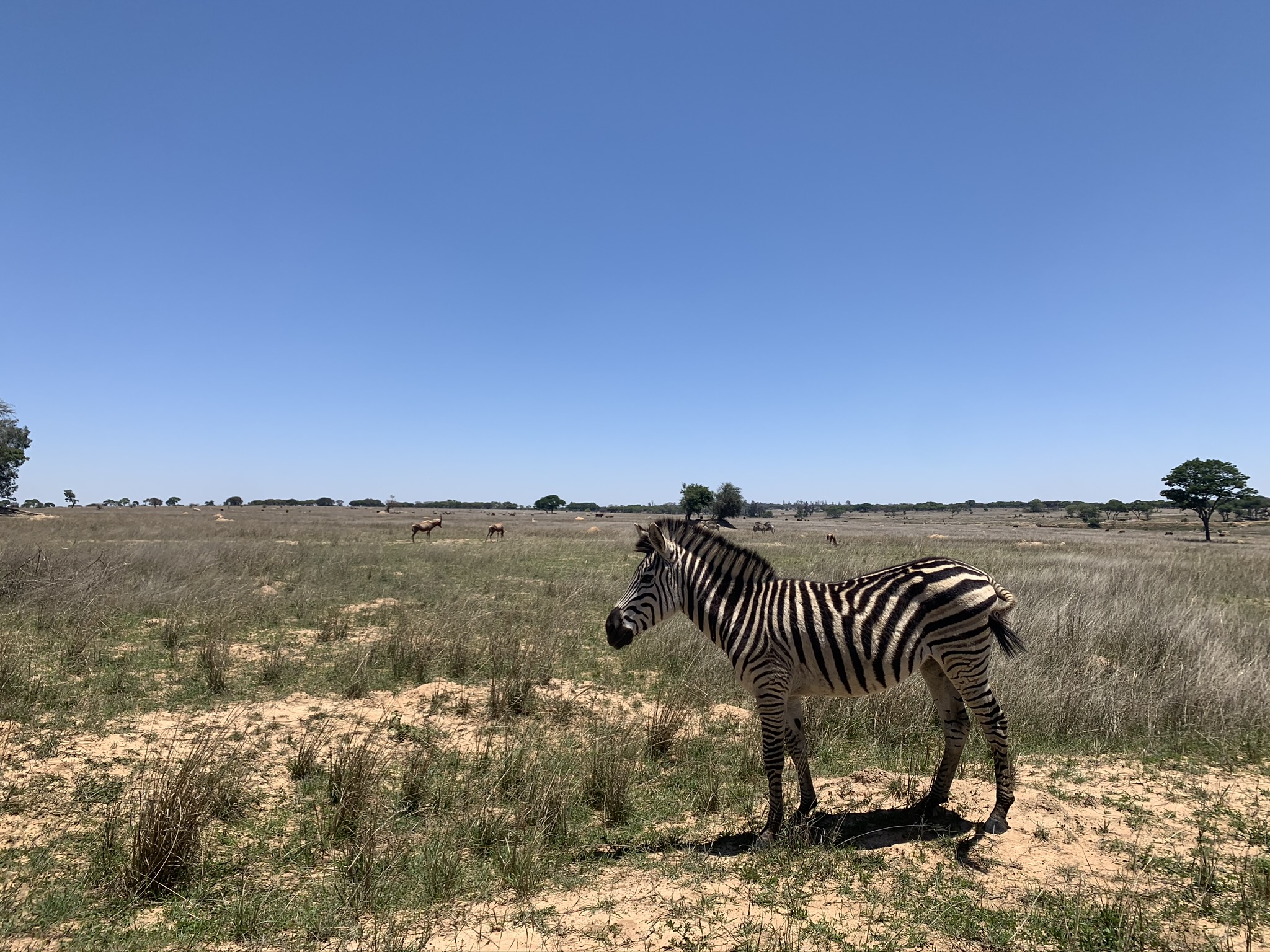expat, story, sharethelove
